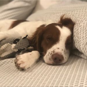 Meet your Posher, Wesley